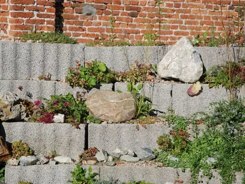 Tiered garden beds held by stacked stone retaining walls